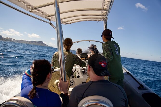 Turtle Canyon Snorkel: Semi Private Boat Tour - Why the six-person format changes the experience