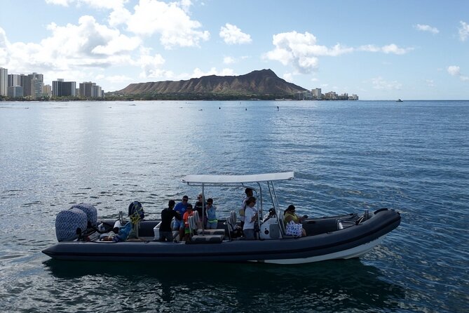 Turtle Canyon Snorkel: Semi Private Boat Tour - Guides who make the trip work
