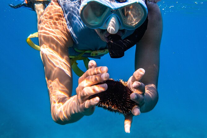 Turtle Canyon Snorkel: Semi Private Boat Tour - Is $109 a fair price?