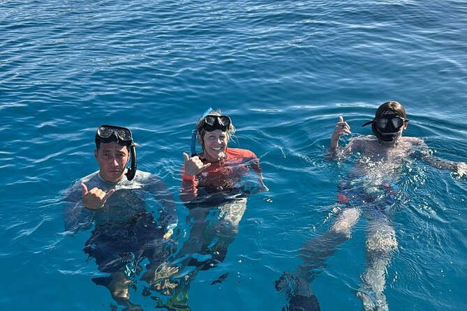 Turtle Canyon Snorkel Tour - Semi-private: 6 passenger max - Key points to know before you book