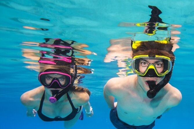 Turtle Canyon Waikiki Snorkel Adventure - Who will enjoy this outing most?