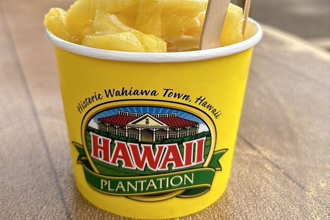 Turtle Snorkeling and Dole Plantation Guided Tour In Oahu - Turtle Canyon from Kewalo Basin