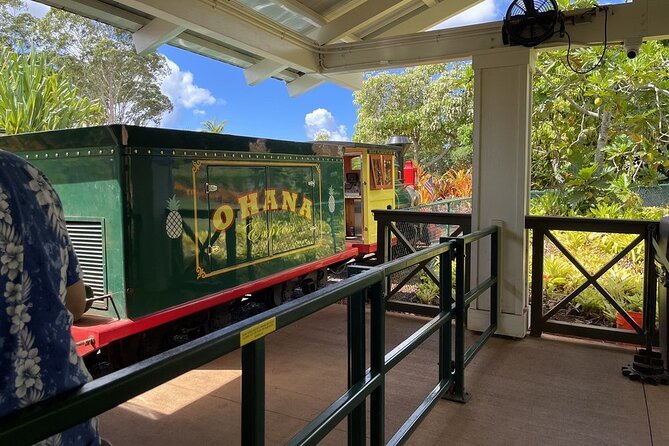 Turtle Snorkeling and Dole Plantation Guided Tour In Oahu - Pickup, timing, and the shape of the day