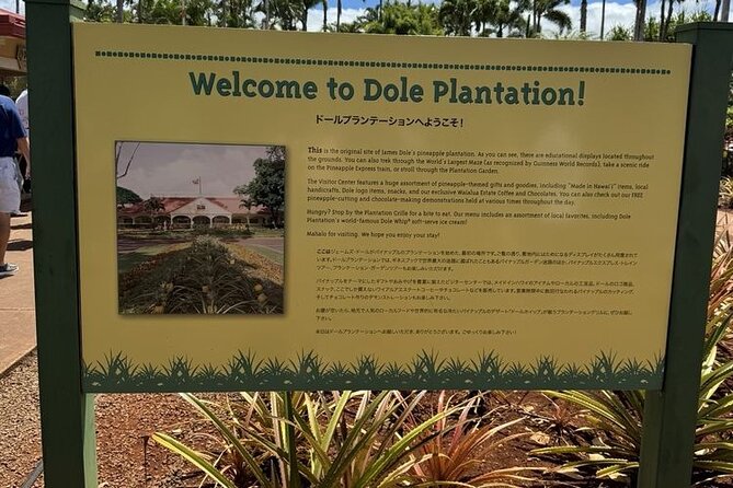 Turtle Snorkeling and Dole Plantation Guided Tour In Oahu - Who will get the most from this Oahu tour?