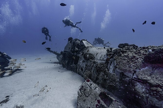 Two Tank Wreck and Drift Dive in Oahu - Why the changing sites matter