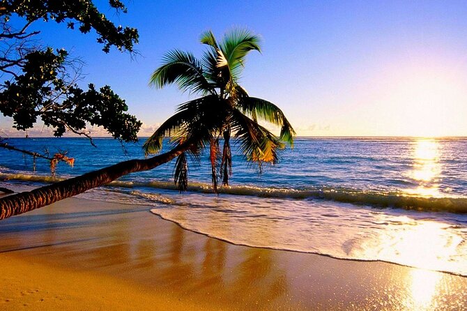Ultimate North Shore Adventure: Full-Day Hawaiian Experience - A Full Day From Coffee Fields to the North Shore