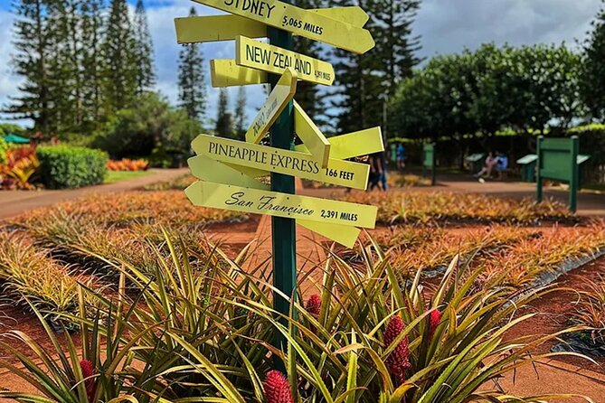 Ultimate North Shore Adventure: Full-Day Hawaiian Experience - Haleiwa Town Center and North Shore Surf Country