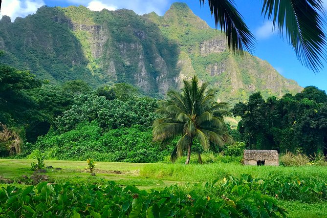 Uniquely Personalized Private Island Tour on Oahu, Hawaii - Windward Oahu: temples, cliffs, and Mokoliʻi