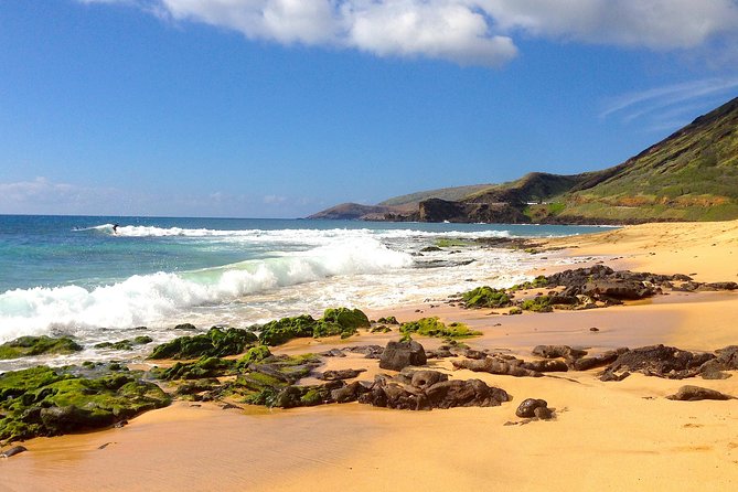 Uniquely Personalized Private Island Tour on Oahu, Hawaii - Central Oahu brings shopping, coffee, and pineapple