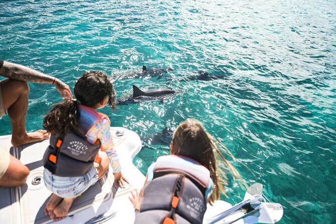 Venture Wildlife Snorkel Charter from Ko Olina - Drinks, Hawaiian juices, and local snacks