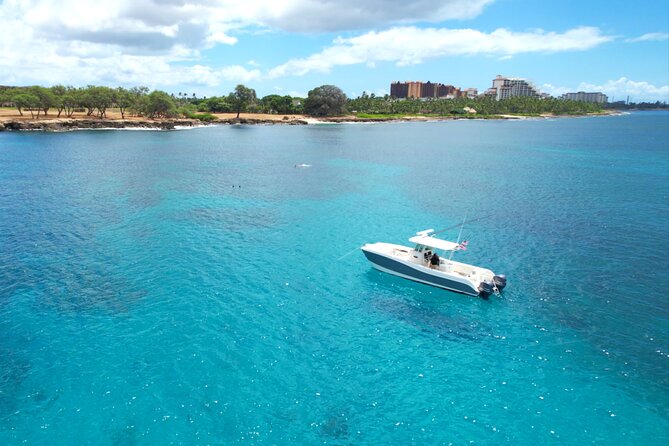 Venture Wildlife Snorkel Charter from Ko Olina - Who gets the best value from $995