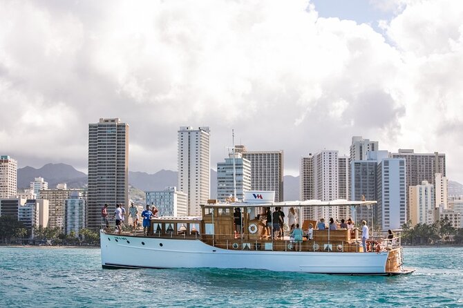 Vida Mia Morning Coffee Cruise - Dolphins, turtles, and the luck of the morning
