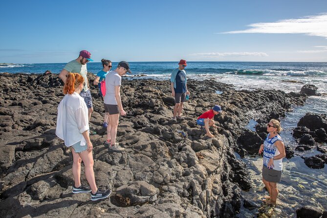 VIP Aloha Style Private Island Tour - Diamond Head and Kahala show Honolulu’s polished side
