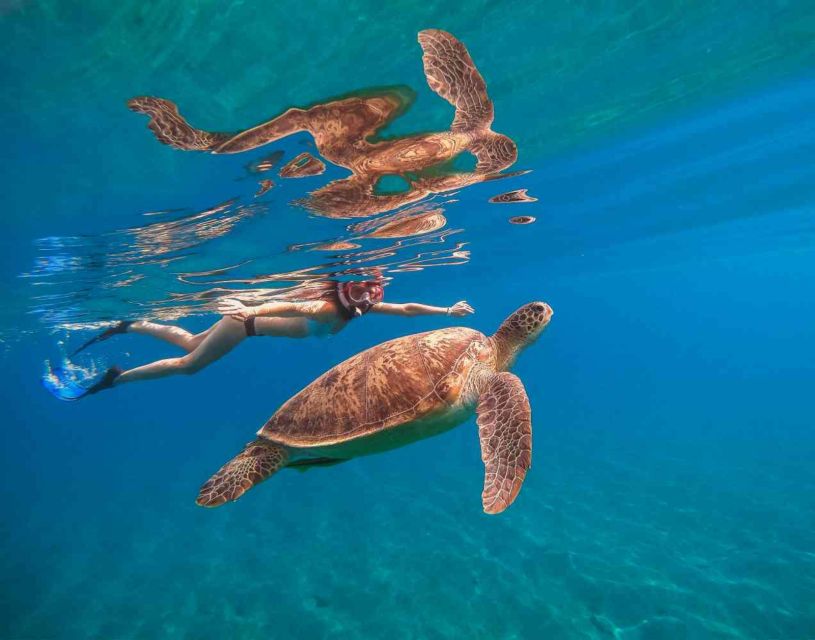 Waikiki: 5-in-1 Turtle Snorkeling Trip with Shuttle Option - What the crew adds to the day