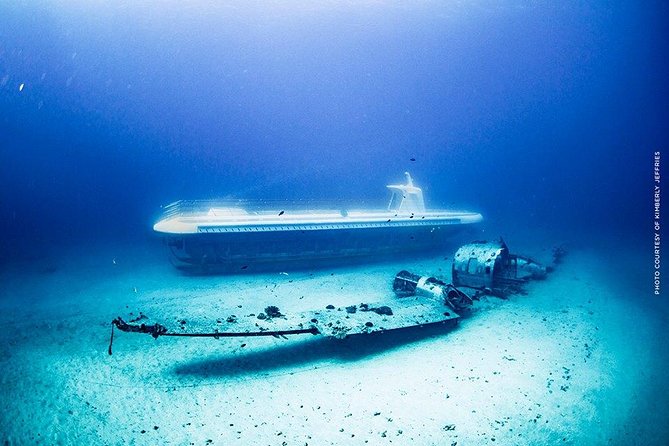 Waikiki: Atlantis Submarine Adventure - Fish, turtles, sharks, and the limits of wildlife