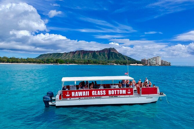 Waikiki Beach Glass Bottom Boat Cruise - Looking below the surface through the viewing ports