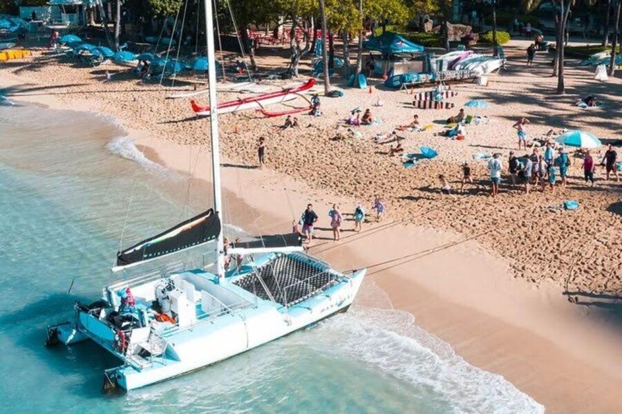Waikiki Beach: Turtle Snorkeling and Sailing on Hāwea - What makes Turtle Canyon special