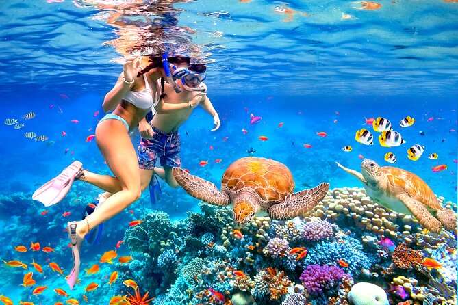 Waikiki Catamaran Escape: Snorkel with Turtles & Water Sports Fun - A Waikiki catamaran trip with more than snorkeling
