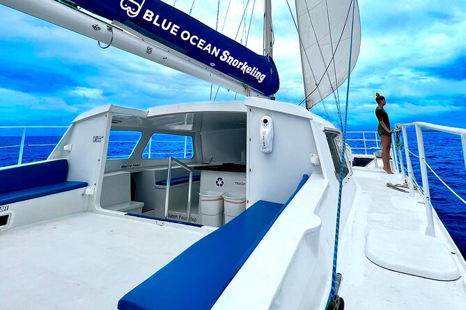 Waikiki Catamaran Escape: Snorkel with Turtles & Water Sports Fun - Snorkeling with turtles and tropical fish