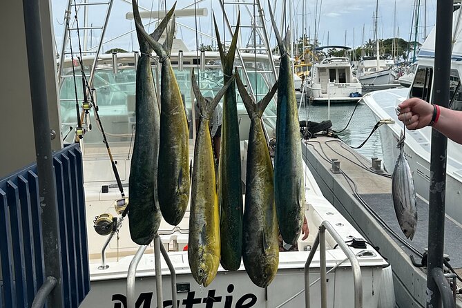 Waikiki Deep Sea Fishing Charter from Oahu - Diamond Head and Waikiki Beach from the water