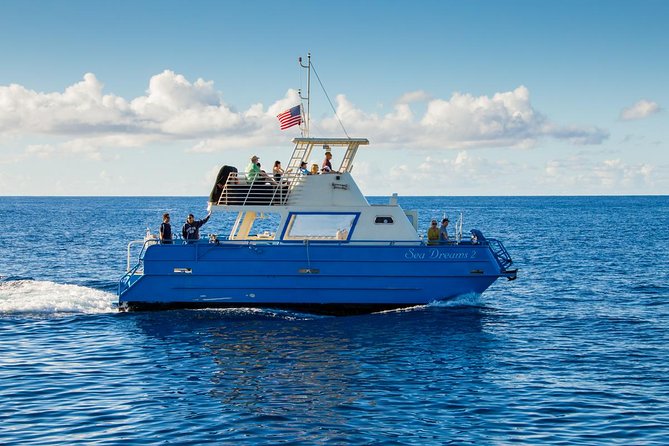 Waikiki Deluxe Catamaran Whale Watch - What the crew adds to the experience