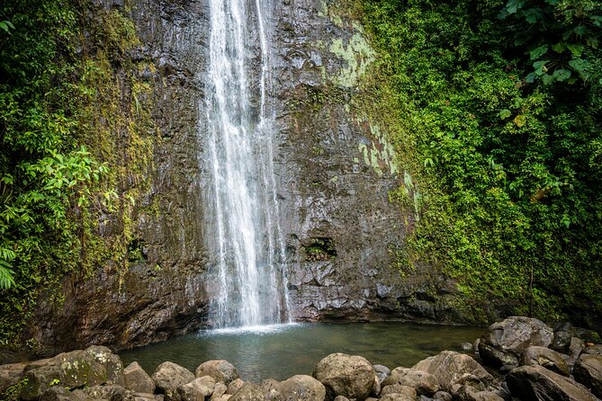 Waikiki Electric Bike Self Guided Tour- Manoa Falls Bike and Hike - Reaching the Manoa Falls trailhead