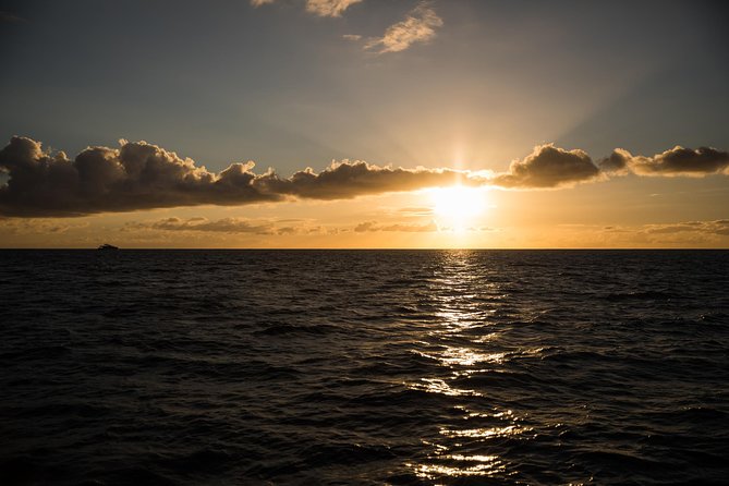 Waikiki Fireworks Dinner Cruise: Sail & Sparkle on Friday Nights - Two drinks, a full bar, and island bento
