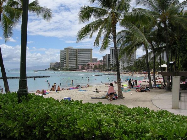 Waikiki Glass Bottom Boat Cruise - Key points to know before you book
