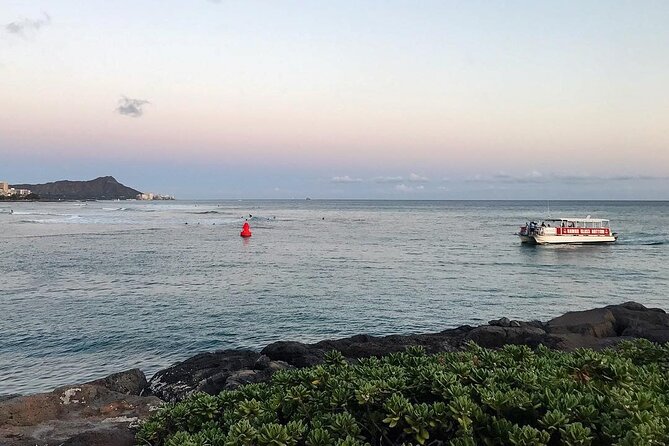 Waikiki Glass Bottom Boat Sunset Cruise - The glass bottom: useful, but smaller than the name suggests