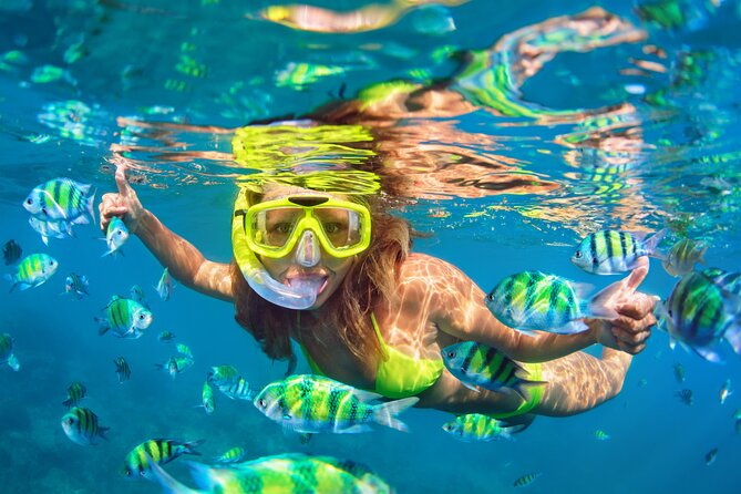 Waikiki Green Sea Turtle Snorkeling Tour - Boat Excursion - A comfortable 50-foot catamaran ride