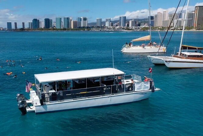 Waikiki Green Sea Turtle Snorkeling Tour - Boat Excursion - Who will get the most from this outing?