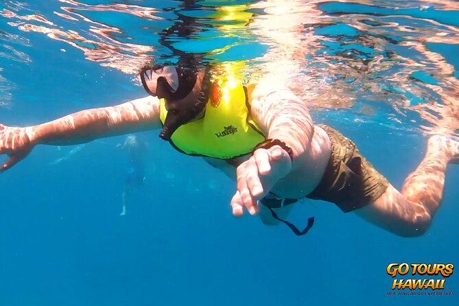 Waikiki Green Sea Turtle Snorkeling Tour - Boat Excursion - Timing, gear, and small details that matter