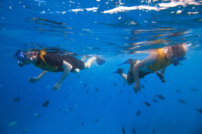 Waikiki, Hawaii: Deluxe Snorkel and Wildlife Cruise - The 20-foot slide and floating playground