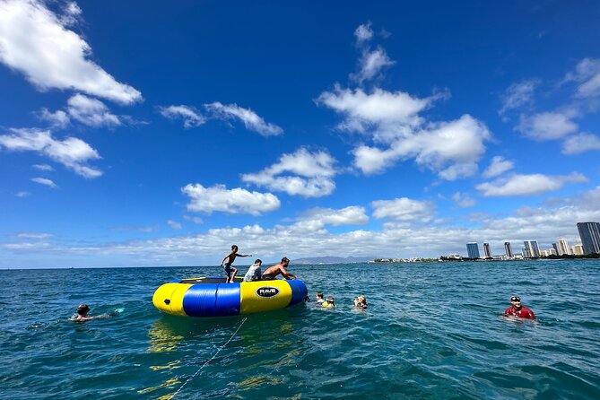 Waikiki, Hawaii: Deluxe Snorkel and Wildlife Cruise - Why the crew matters here