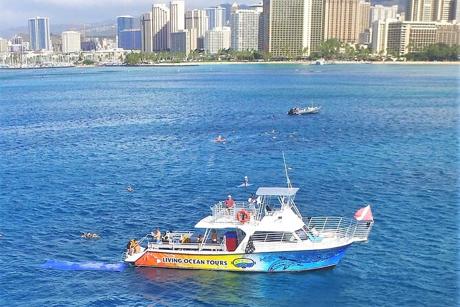 Waikiki, Hawaii: Turtle Canyon Snorkel Excursion - Turtle Canyon, a quick route to Oahu’s sea turtles