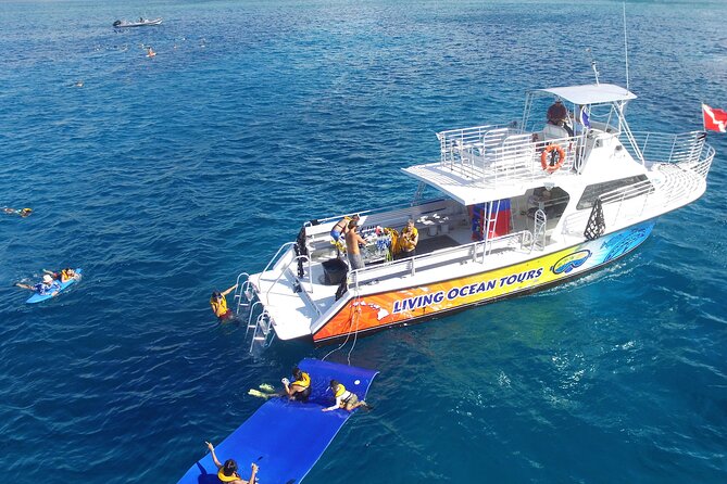 Waikiki, Hawaii: Turtle Canyon Snorkel Excursion - What the two-hour itinerary feels like