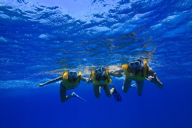 Waikiki, Hawaii: Turtle Canyon Snorkel Excursion - The best part: turtles in their natural setting
