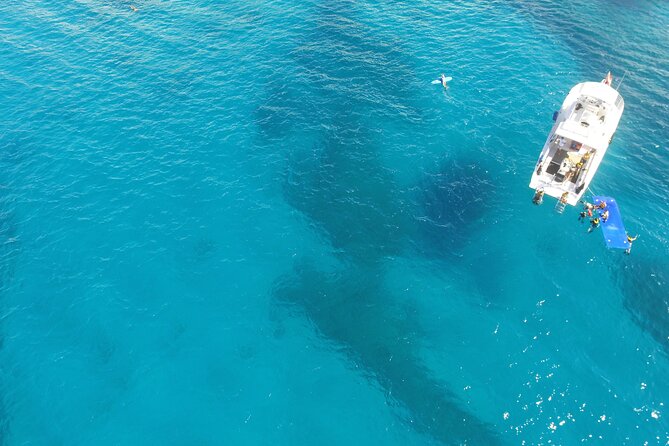 Waikiki, Hawaii: Turtle Canyon Snorkel Excursion - Crowds, visibility, and the open ocean tradeoff