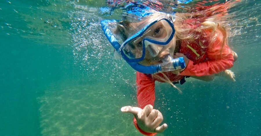 Waikiki: Honolulu Beginner Snorkeling Tour with Videos - Key points for your Waikiki snorkeling plan