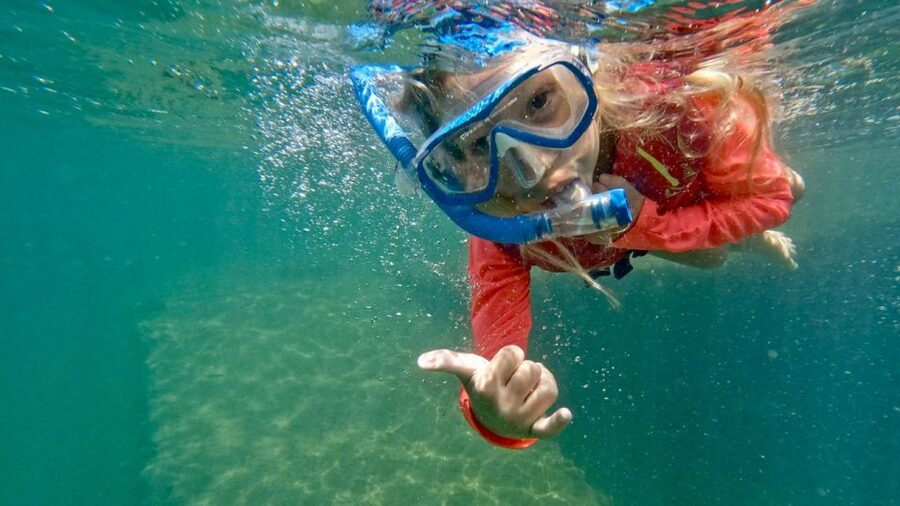 Waikiki: Honolulu Beginner Snorkeling Tour with Videos - The video keepsake is a real part of the value