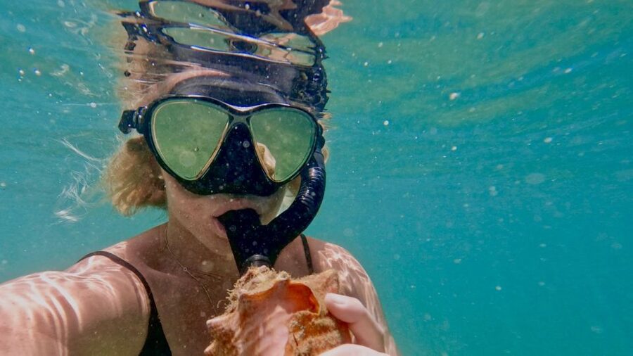 Waikiki: Honolulu Beginner Snorkeling Tour with Videos - Should you book the $59 snorkeling tour?