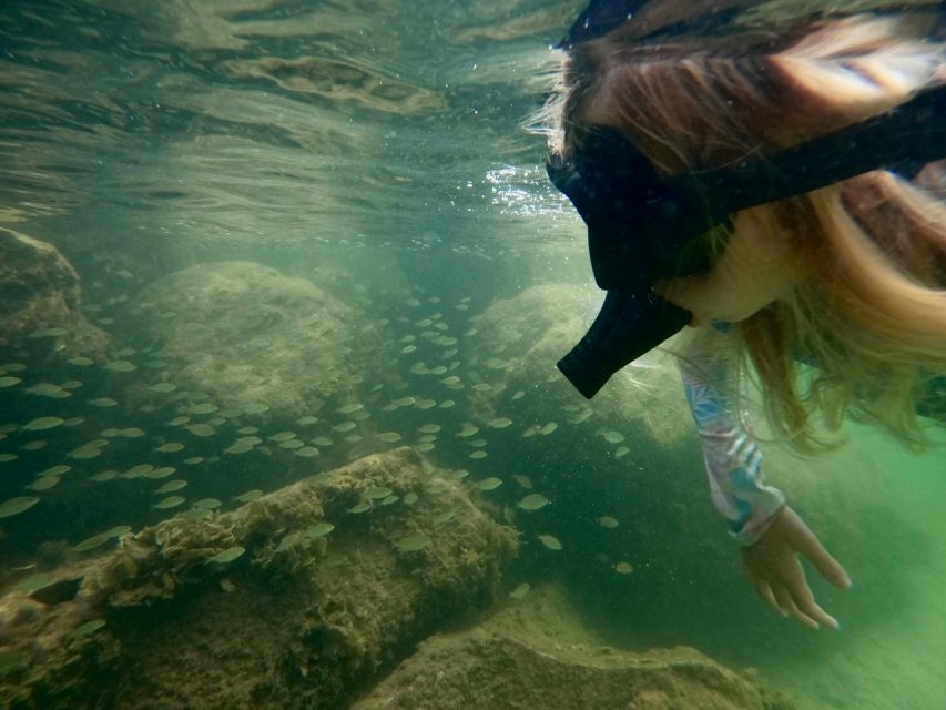 Waikiki: Honolulu Beginner Snorkeling Tour with Videos - The 90-minute lesson, from mask fitting to marine life