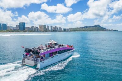 Waikiki, Oahu 2-Hour Whale Watching: Guaranteed Sightings