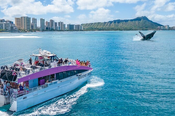 Waikiki, Oahu 2-Hour Whale Watching: Guaranteed Sightings - How the crew shapes the experience