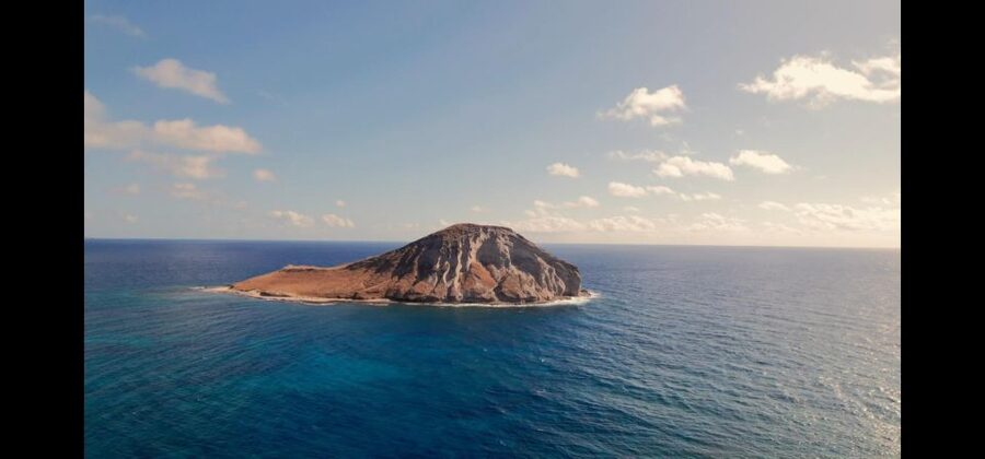 Waikiki: Oahu In a Day Circle Island Tour - Bakery stop, Byodo-In Temple, and Windward Oahu
