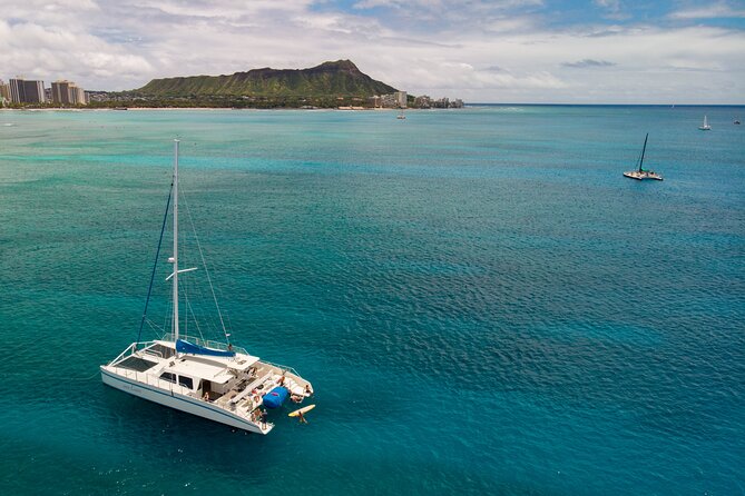 Waikiki Panorama Sail: Search for Hawaiian Sea Turtles - Searching for turtles and marine life