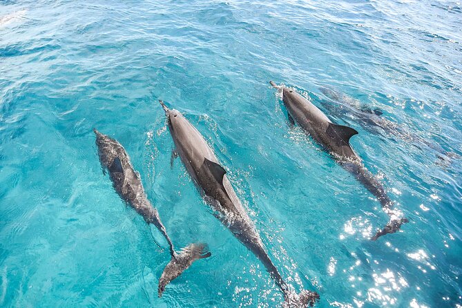 Waikiki's Premier Small Group Sunset Yacht + Tasting - Is $245.30 a fair price?