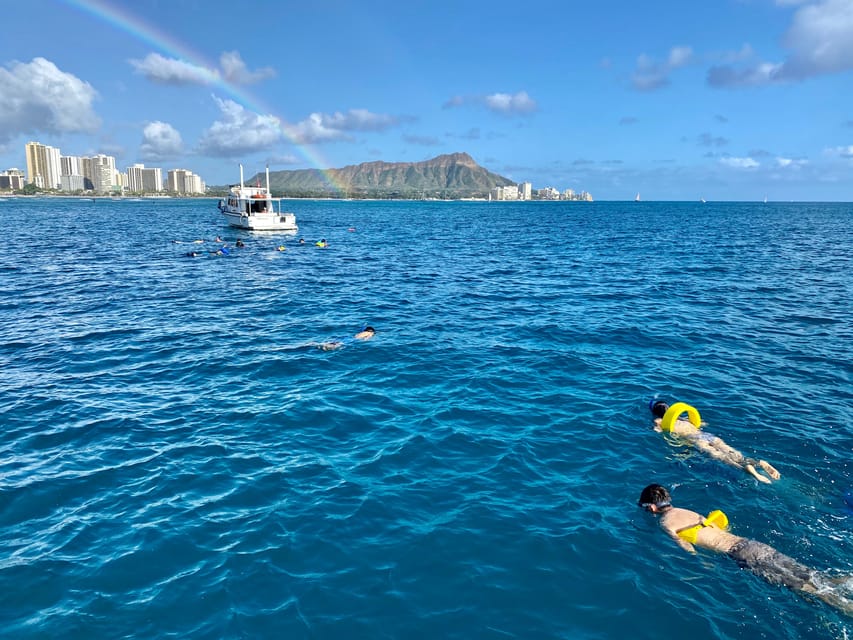 Waikiki: Sea Turtle Snorkeling, Small Group Boat Tour - Best time to book and who should choose it