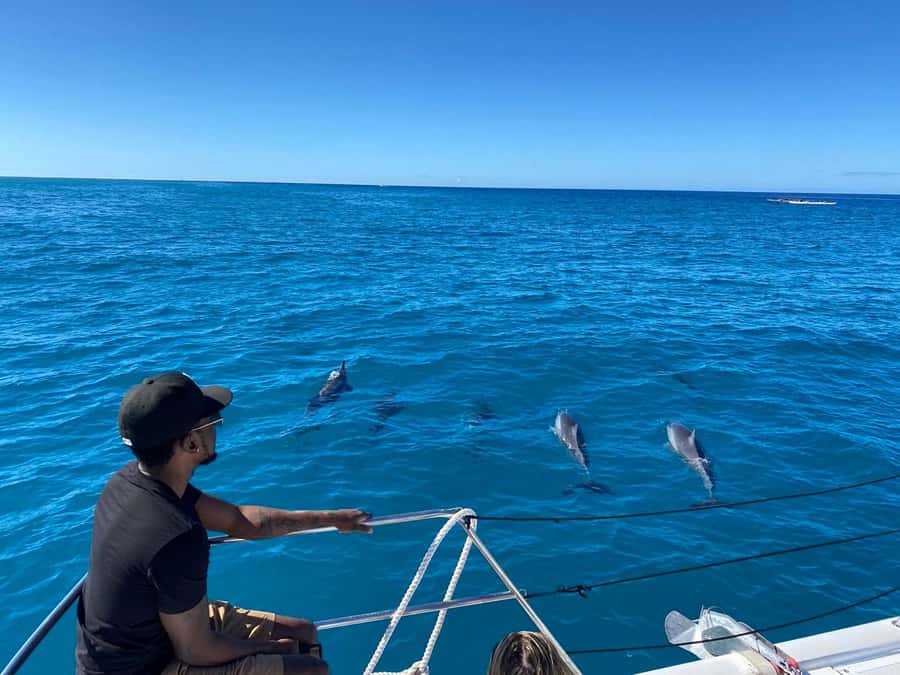 Waikiki: Sea Turtle Snorkeling, Small Group Boat Tour - Diamond Head, dolphins, and seasonal whales