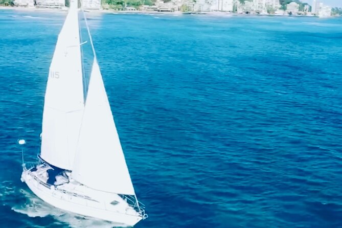 Waikiki small group turtle snorkeling & sailing - What the guide adds to the experience